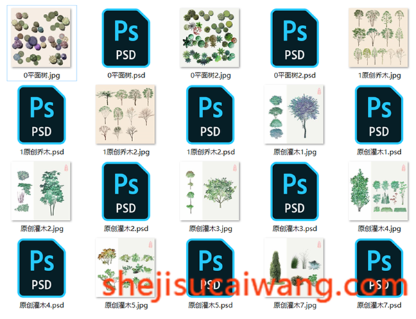 PSD分析图常用植物