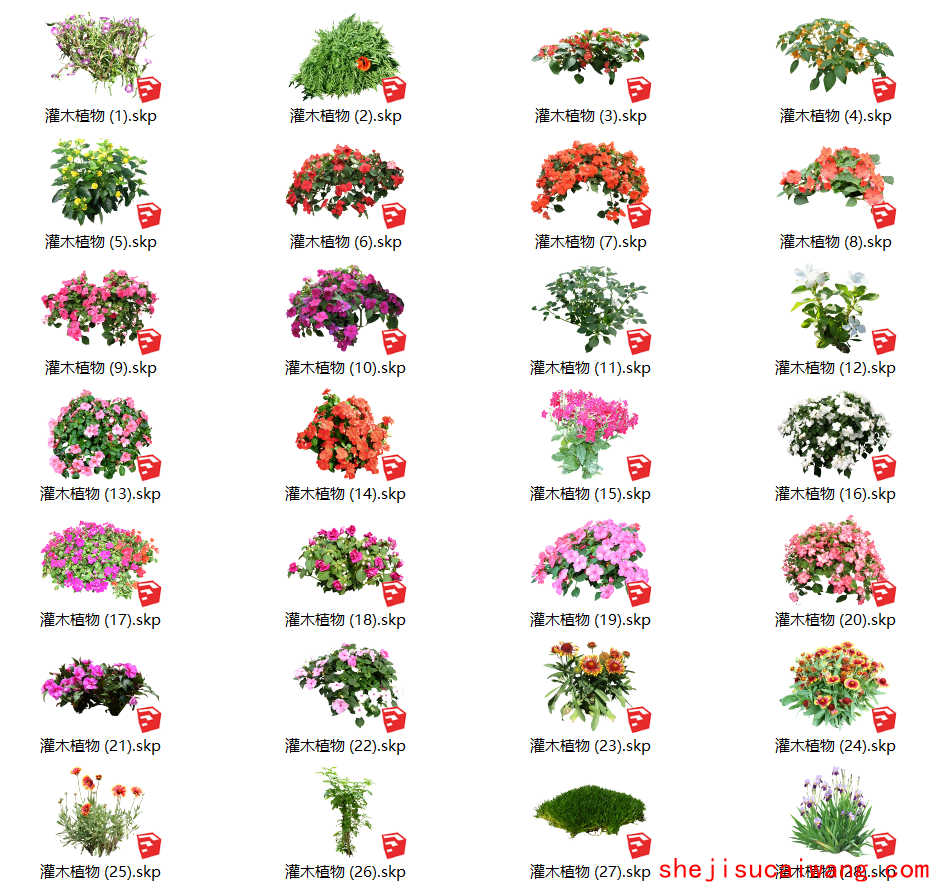 花卉灌木植物组件全集C